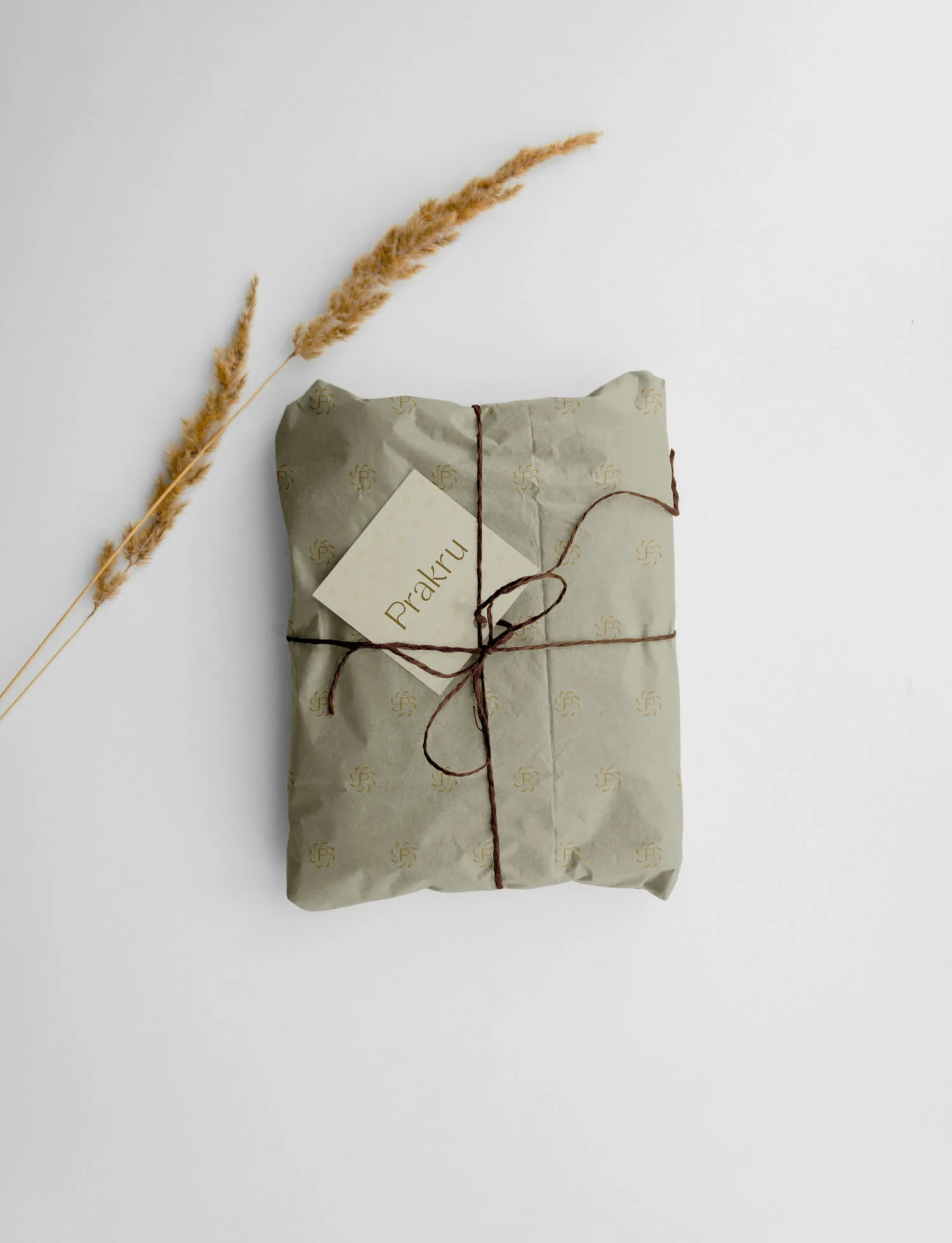 Prakru — brand identity detail 6